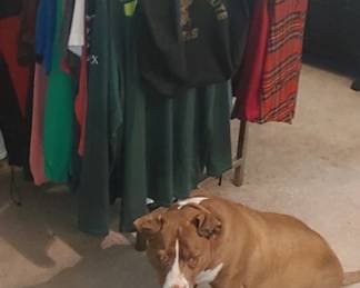 Precious says she wants a pink Polo shirt!