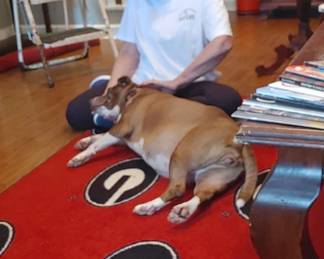 Aunt Ree Loving on Precious in the Ga Room