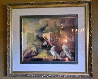 Stunning Peacock Print in ornate gold gilt frame