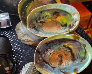 Three large, iridescent natural abalone shells.