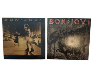Vintage Bon Jovi Vinyls