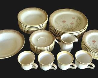 Mikesa Whole Wheat Dishes and Cups Set