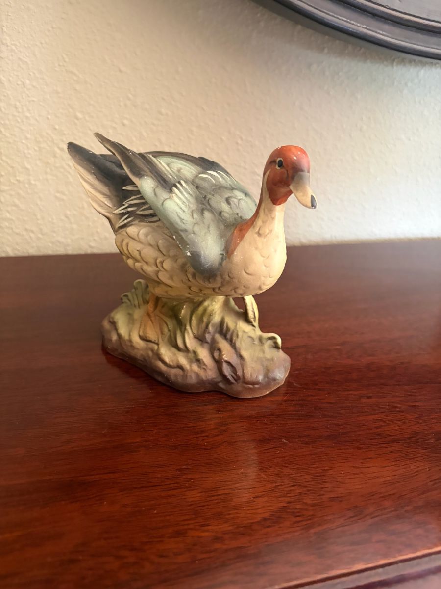 Duck decor
