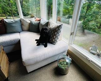 Sectional, pillows