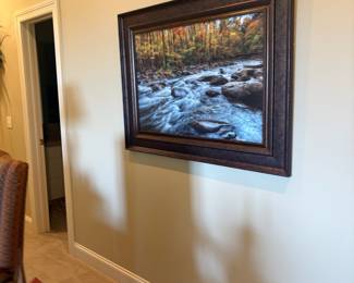 Ducks Unlimited decor