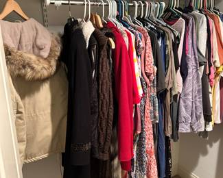 Clothes and fur coats