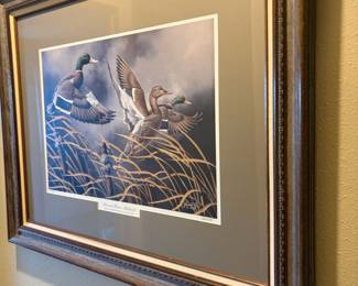 Ducks Unlimited