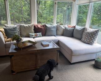 Sectional, coffee table