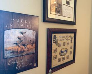 Ducks Unlimited decor