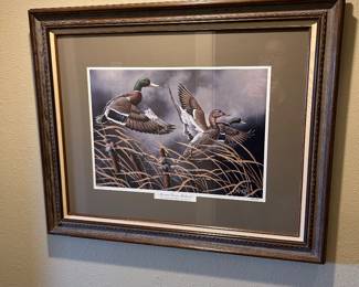 Ducks Unlimited art