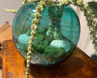 Murano glass sea urchin display