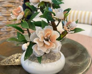 Jade tree