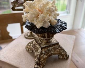 Coral on base