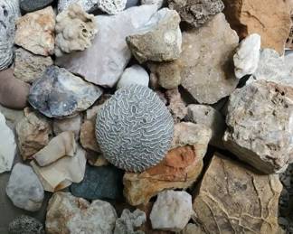 Garden Crystal Coral Quartz Bundle