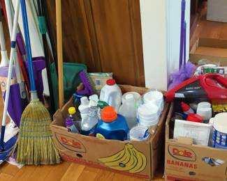 Mystery Cleaning Supplies