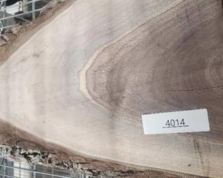 Natural Edge wood Decorators piece