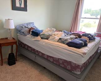 Mattress and box springs. Sleep number frame only