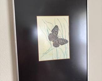Framed Butterfly Illustration