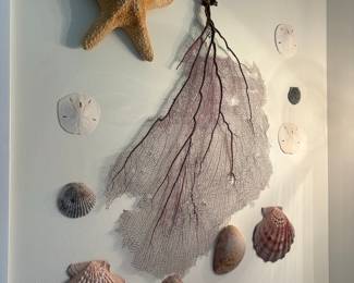 Purple Sea Fan Assemblage with Starfish and Shells
