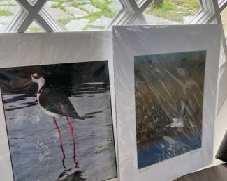 Signed Art