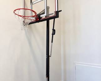 Lifetime adjustable basketball goal
