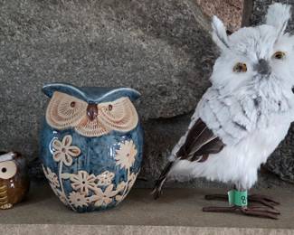 More Owls