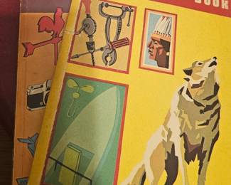Boy Scout books