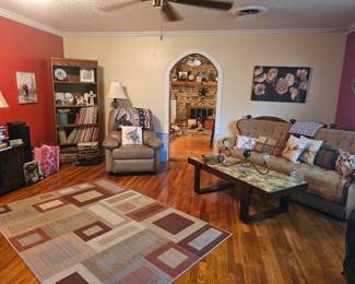 view into the living room, lots of vinyl