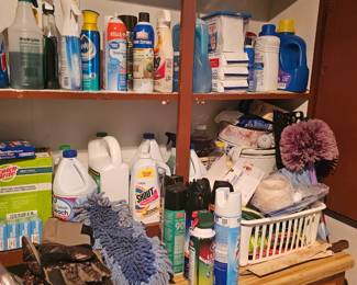 cleaning supplies and gadgets