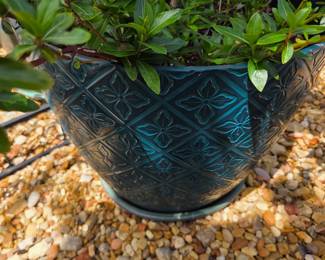 Teal Plastic Pot with 2 Pink Flowers and Palm type tree - 64" Tall	 $40.00 