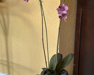 Gallery image 23