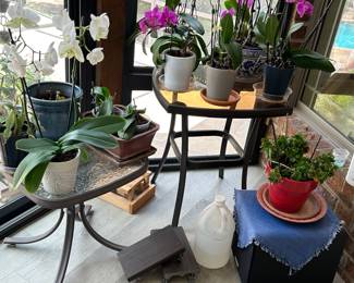 Gallery image 13