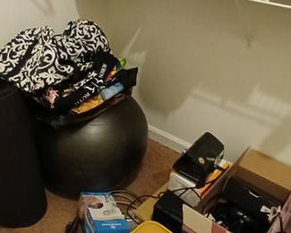 Workout ball and mat, makeup tote