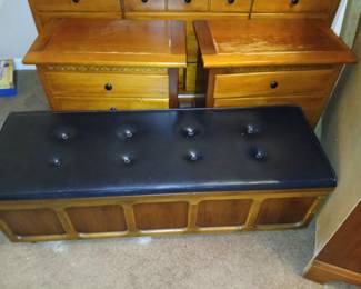 Cedar rolling storage with padded top