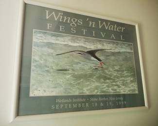 Wings 'n Water framed poster