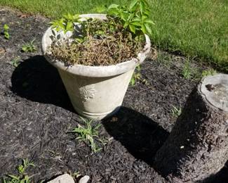 Large concrete pot