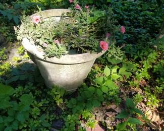 Large concrete pot