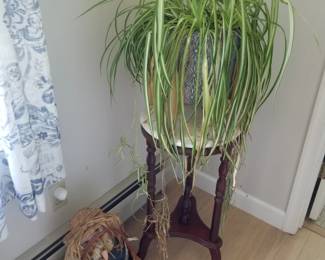 Plant stand