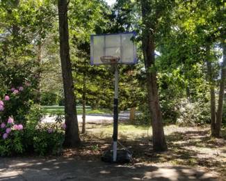 Basketball hoop