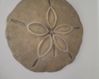 Sand dollar wall art