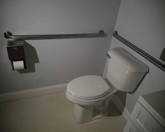 Grab bars; toilet; toilet paper dispenser