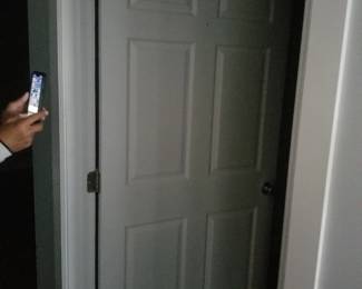 6-panel interior door