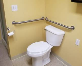Toilet; grab bars