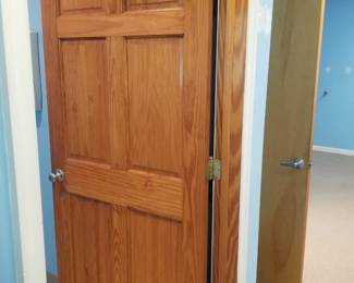 6-panel interior door