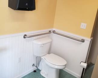 Paper towel dispenser; toilet; grab bars