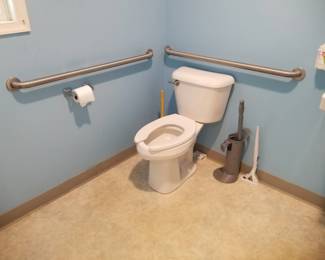 Toilet; grab bars