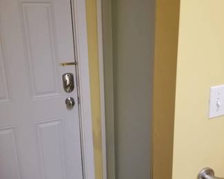 Shower door