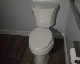 Toilet; grab bars