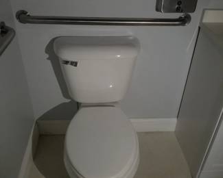 Toilet; grab bars