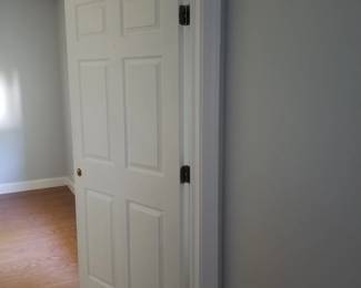 6-panel interior door